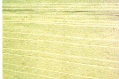 1_vaszonszottes_31_20110405_1870152911